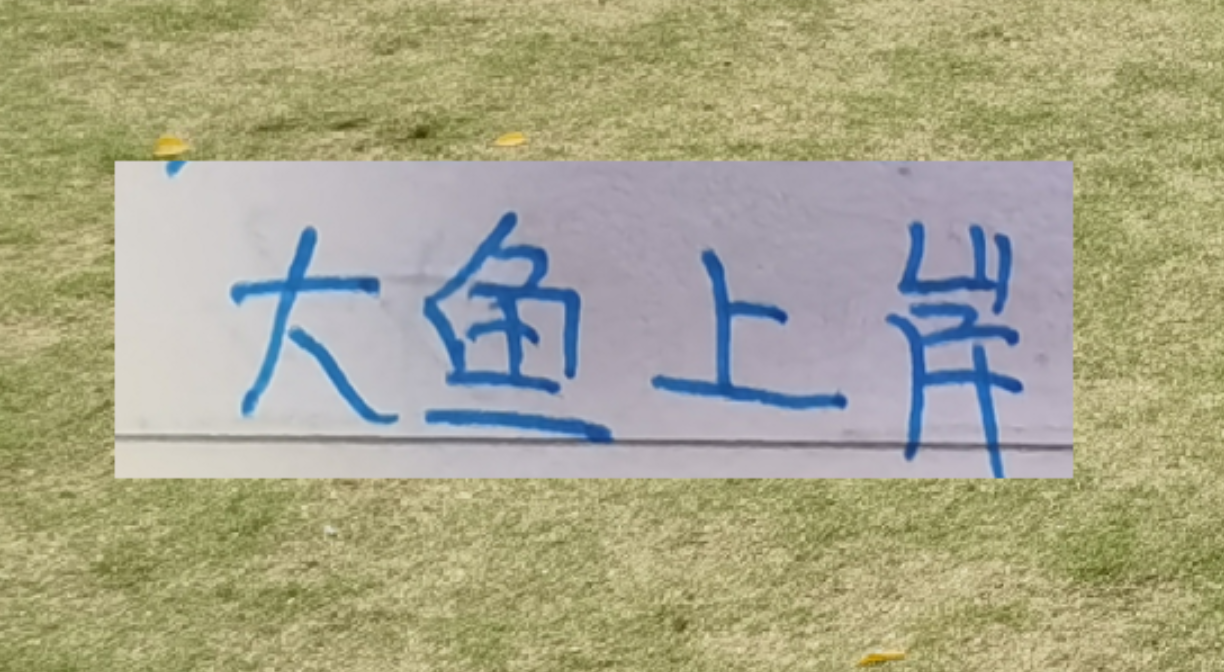 咪咕视频-海港本土大鱼上岸了！新赛季前2轮转正不在话下吗？